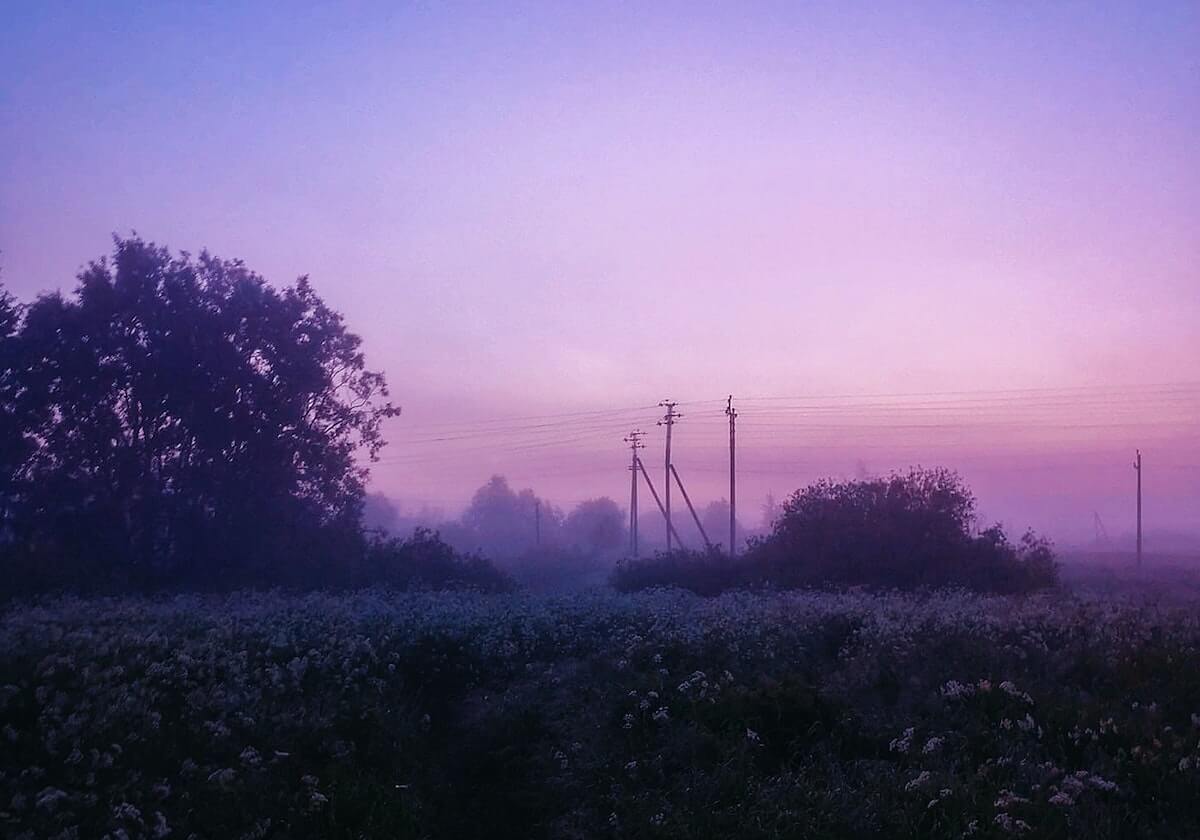 体育APP-湖人球迷把Luke改名Luka，1个字母的执念藏不住了